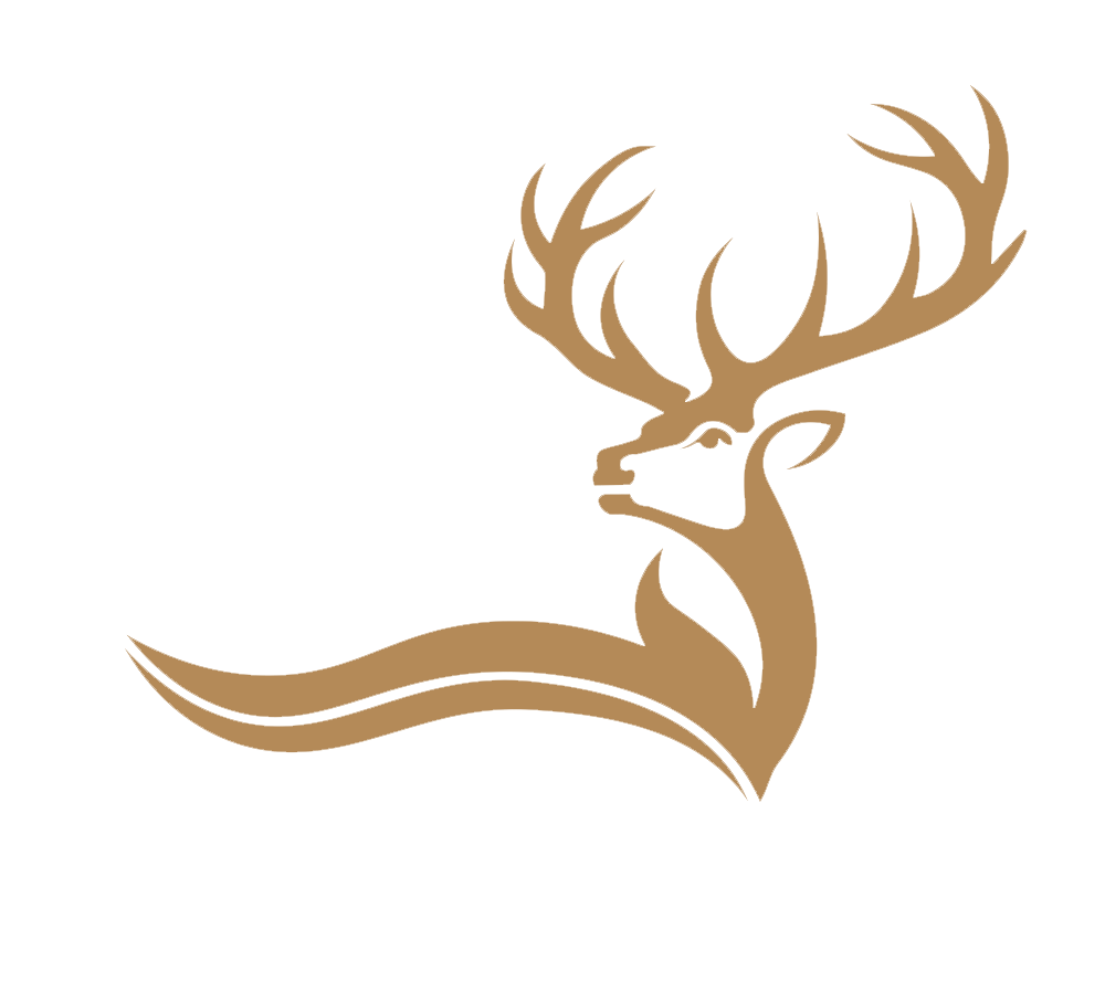 Venado